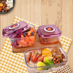 Vacuum Preservation Box Food Preservation and Moisture-proof